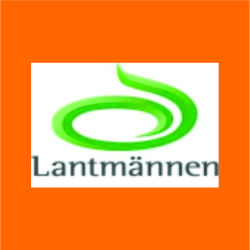 lantmannen żmigród